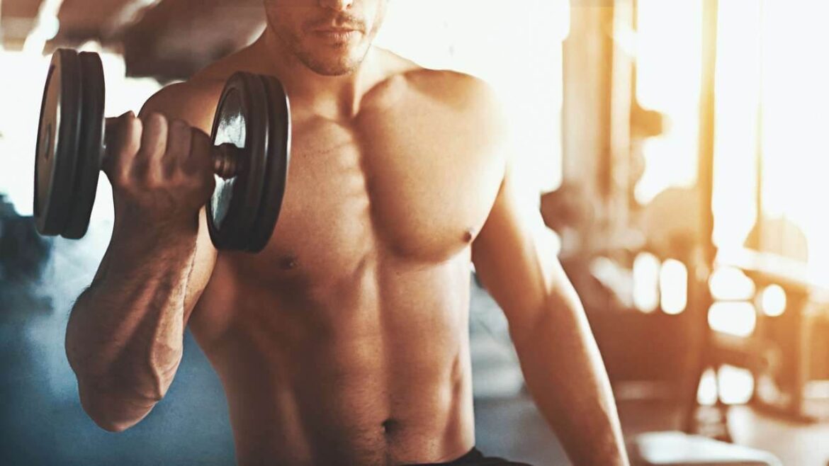 Training im Fitnessstudio: So fängst Du richtig an