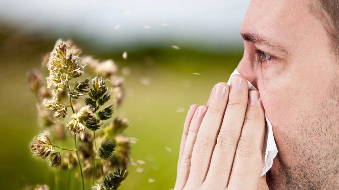 Tipps gegen Heuschnupfen