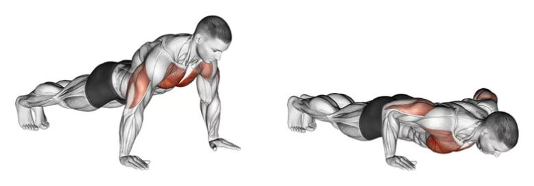 100 Liegestütze: So machst Du richige Push Ups