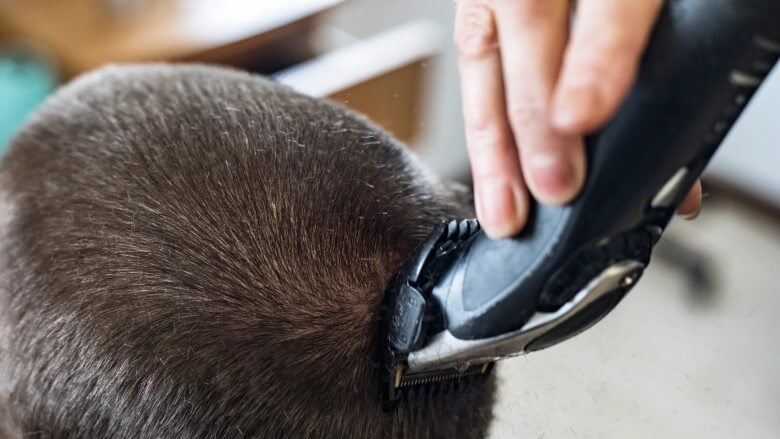 Männerfrisuren: Den Buzz Cut schneiden