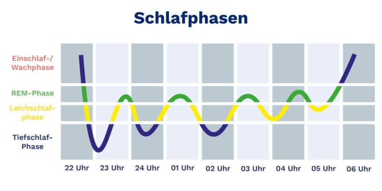 Die Schlafphasen