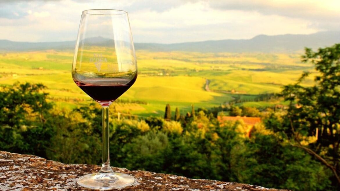 Guter Wein: Die besten Weinregionen der Welt