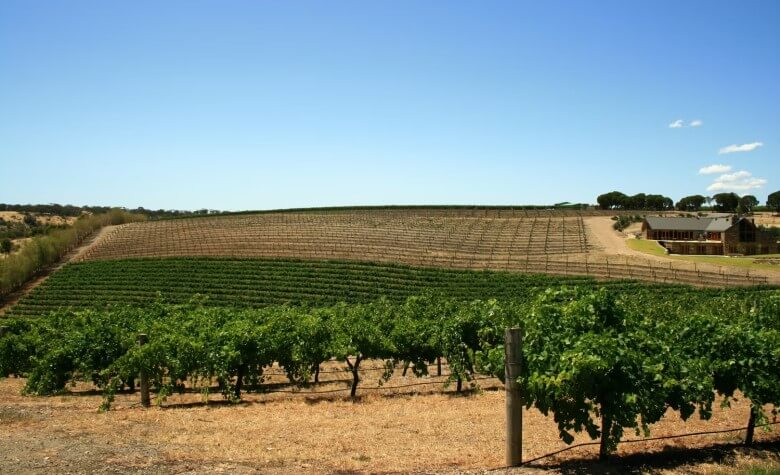 Guter Wein aus Australien: Das Barossa Valley