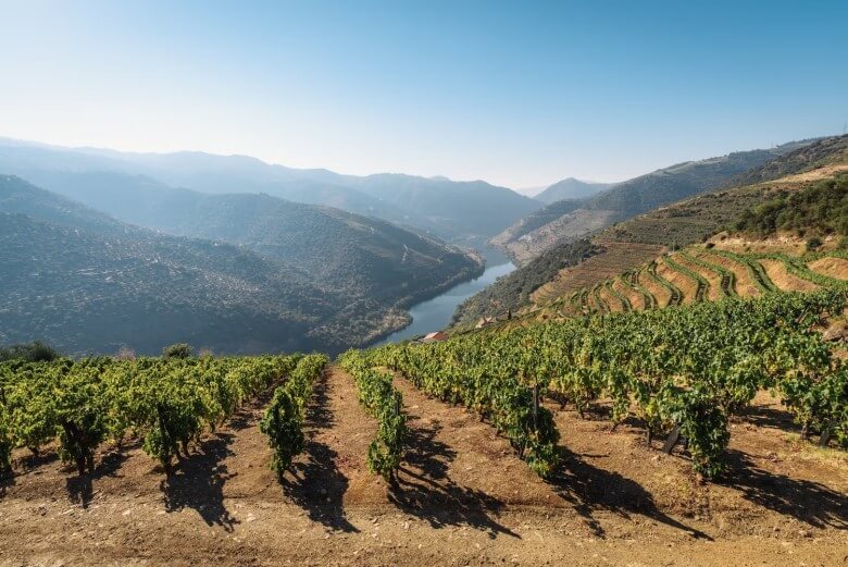 Wein aus dem Douro-Tal in Portugal
