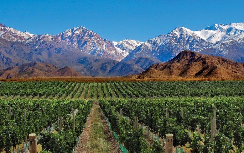 Guter wein: Die Weinregion Mendoza in Argentinien