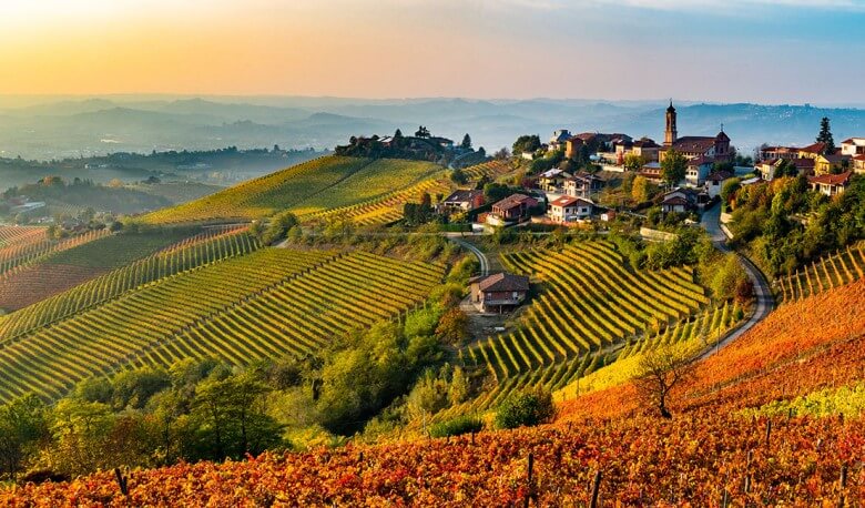 Guter Wein: Weinregion Piemont