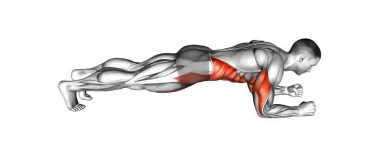 Was sind Planks? Beanspruchte Muskelgruppen