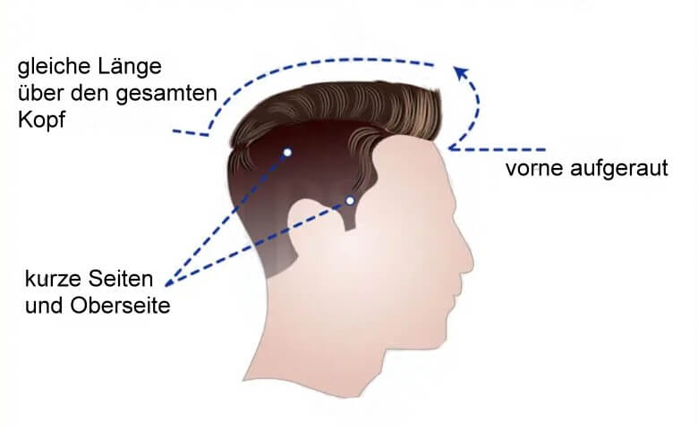 Infografik Crew Cut