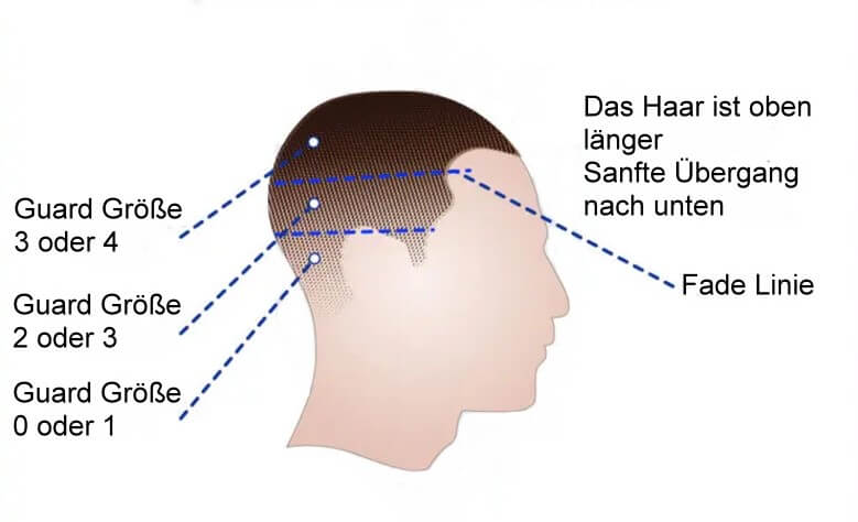 Infograf Fade