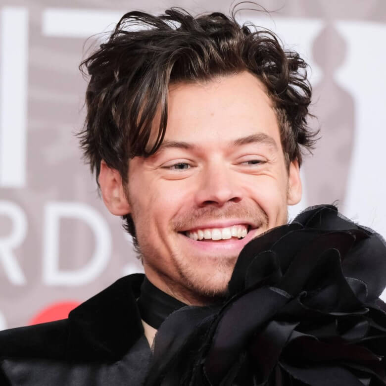 Männerfrisuren von Stars - Harry Styles