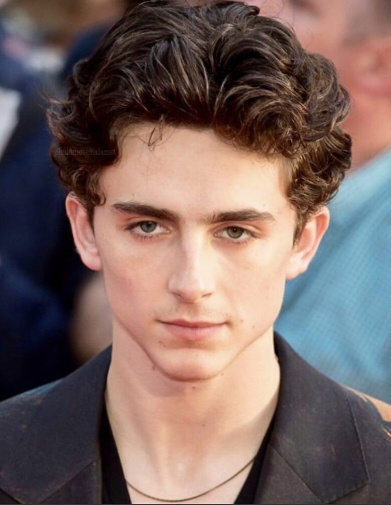 Messy Quiff von Timothee Chalamet