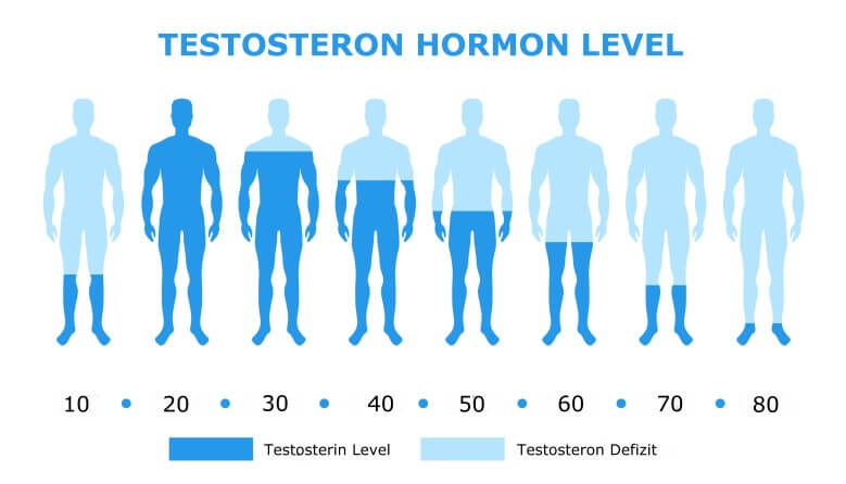 Wie verändert sich der Testosterongehalt im Körper im Alter